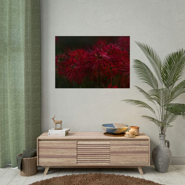 92409-208.jpg Red Spider Lilies Poster
