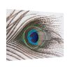 92409-227.jpg Peacock Feather Poster