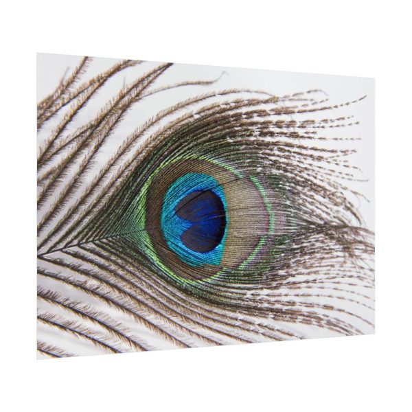 92409-227.jpg Peacock Feather Poster