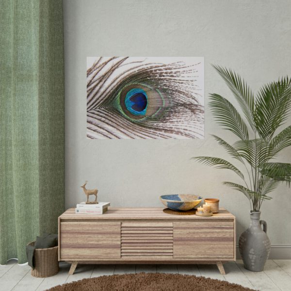 92409-228.jpg Peacock Feather Poster