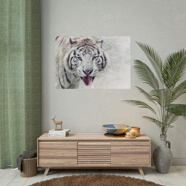 92409-243.jpg White Bengal Tiger Poster