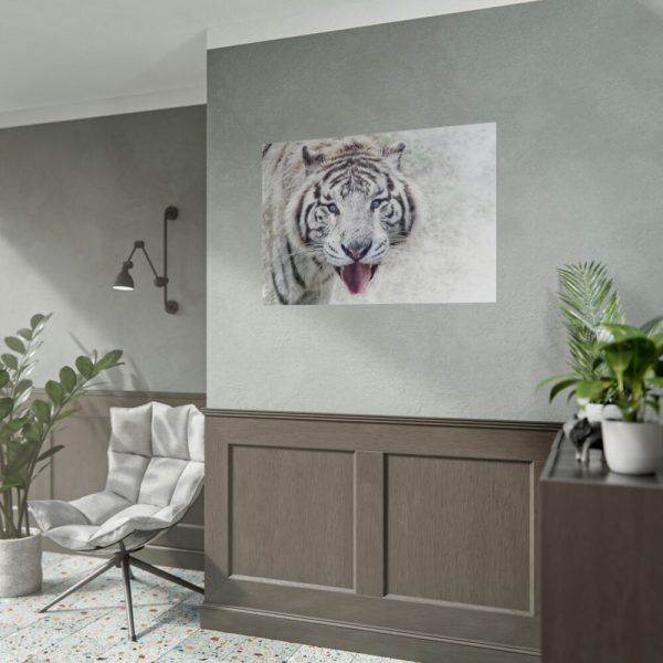 92409-244.jpg White Bengal Tiger Poster