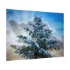 92409-402.jpg Frozen Tree Poster