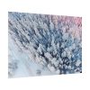 Winter Frozen Fir Tree Aerial View Poster