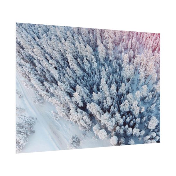 Winter Frozen Fir Tree Aerial View Poster