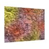 92409-467.jpg Stones and Paint Poster