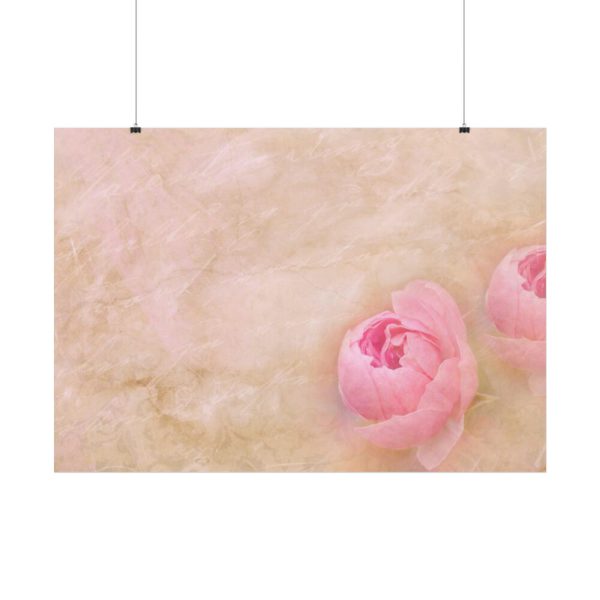 92409-471.jpg Spring Peony Poster