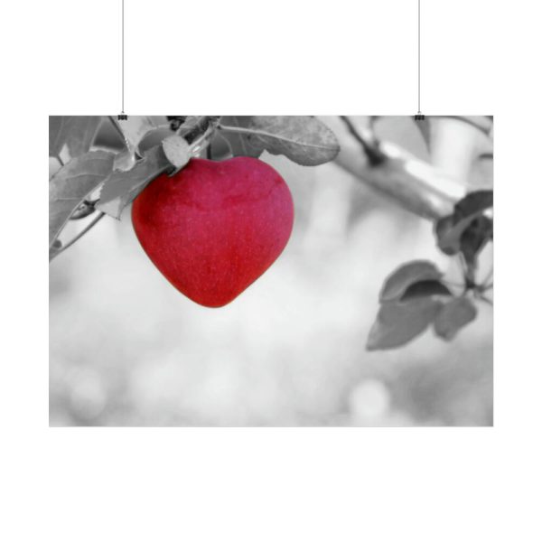 92409-506.jpg Red Apple in the Black and White Poster