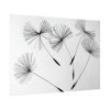 92409-512.jpg Dandelion Flower Poster