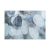 92409-590.jpg Leaves Covered in Ice Crystals Poster