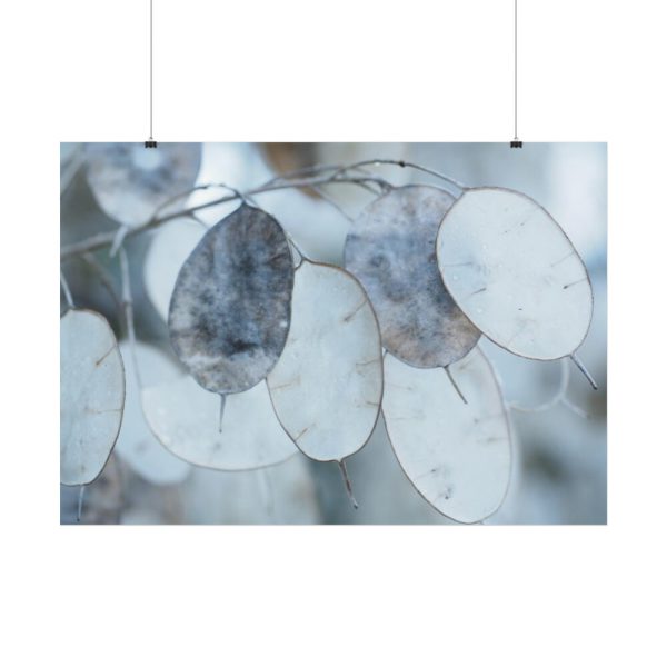 92409-591.jpg Leaves Covered in Ice Crystals Poster