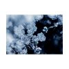 92409-600.jpg Closeup on Textured Frost Poster