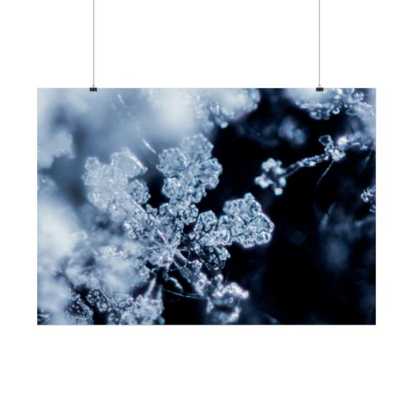 92409-601.jpg Closeup on Textured Frost Poster