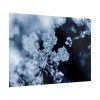 92409-602.jpg Closeup on Textured Frost Poster