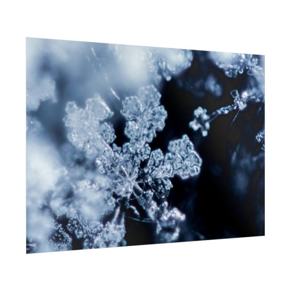 92409-602.jpg Closeup on Textured Frost Poster