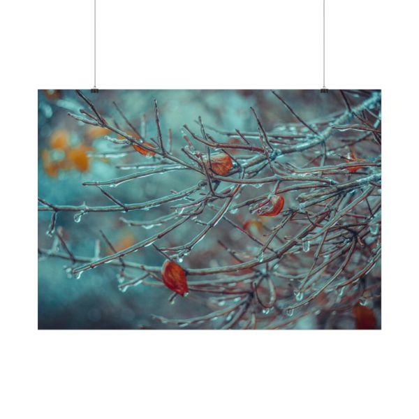 92409-606.jpg Tree Branches Covered in Ice Poster