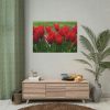 92409-618.jpg Vibrant Red Tulips Bloom in a Field Poster
