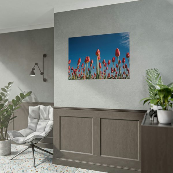 92409-624.jpg A Low-Angle Shot of a Field of Red Tulips Poster