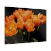 A Bouquet of Bright Orange Tulips Poster