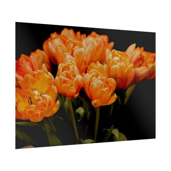 A Bouquet of Bright Orange Tulips Poster