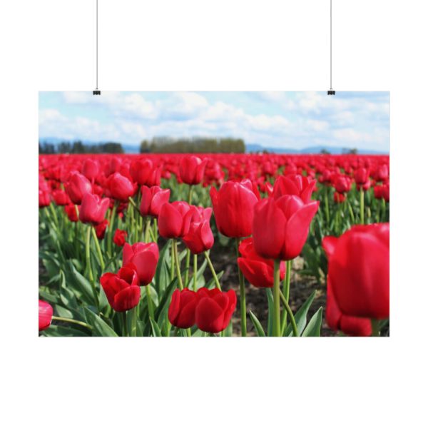 92409-701.jpg Red Tulip Field Poster