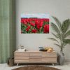 92409-703.jpg Red Tulip Field Poster