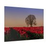 92409-707.jpg Tulips Field Poster