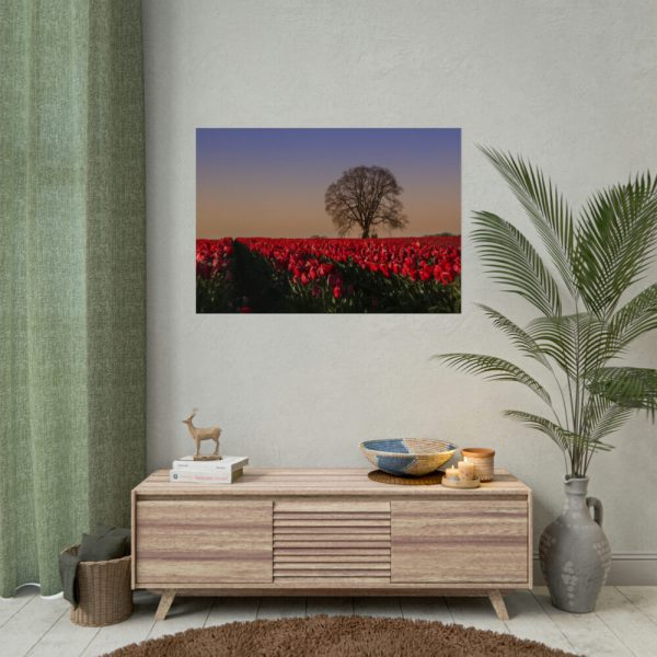 92409-708.jpg Tulips Field Poster