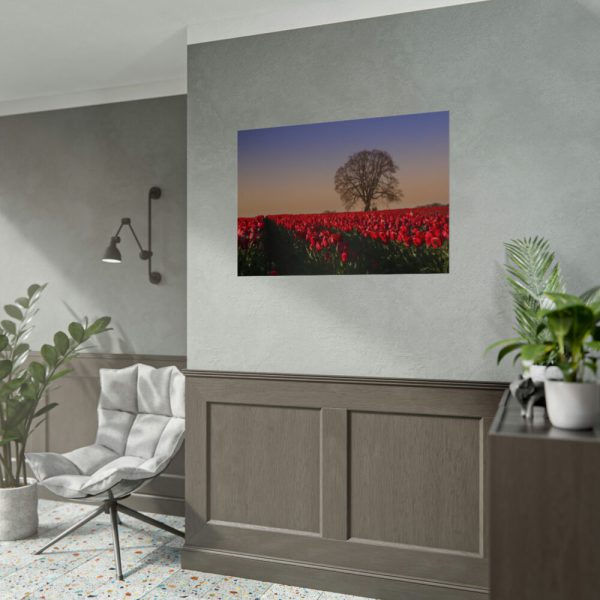 92409-709.jpg Tulips Field Poster