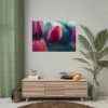 Blooming Pink Tulips in the Evening Light Poster