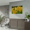 Yellow Tulips Blooming in the Field Poster