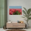 92409-723.jpg Pink Tulip Field Poster