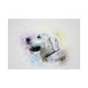 92409-759.jpg Retriever Watercolor Paint Poster