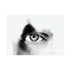 92409-767.jpg Eye Black and White Poster