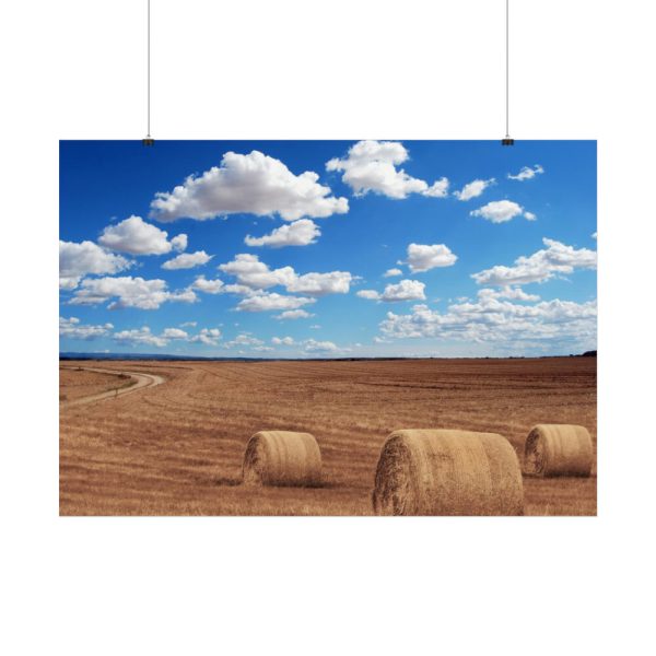 Agriculture Harvest Corn Poster