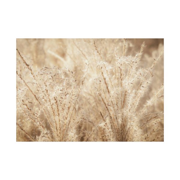 92409-779.jpg Wheat Crops Poster