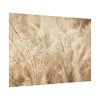 92409-781.jpg Wheat Crops Poster