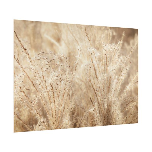 92409-781.jpg Wheat Crops Poster