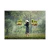 92409-787.jpg Rice Harvest Poster