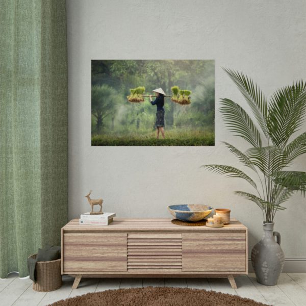 92409-790.jpg Rice Harvest Poster