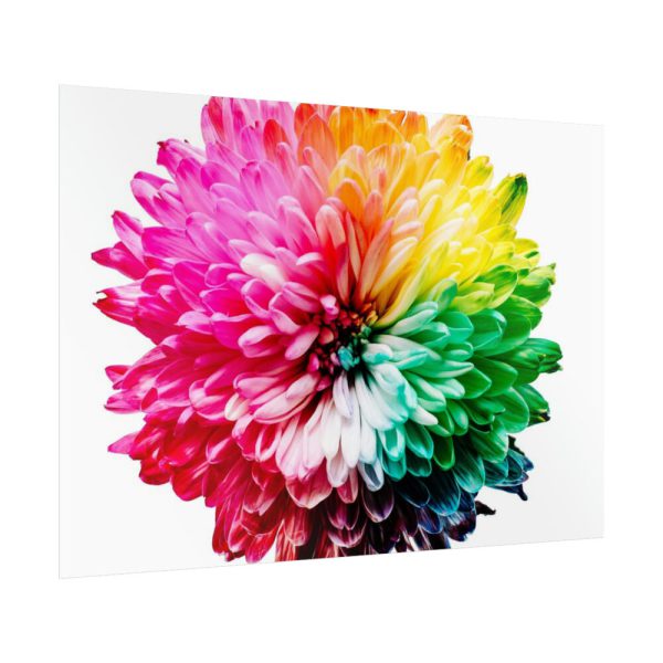 92409-797.jpg Multicolored Flower Illustration Poster