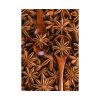 92410-155.jpg Anise Spices Seeds Poster