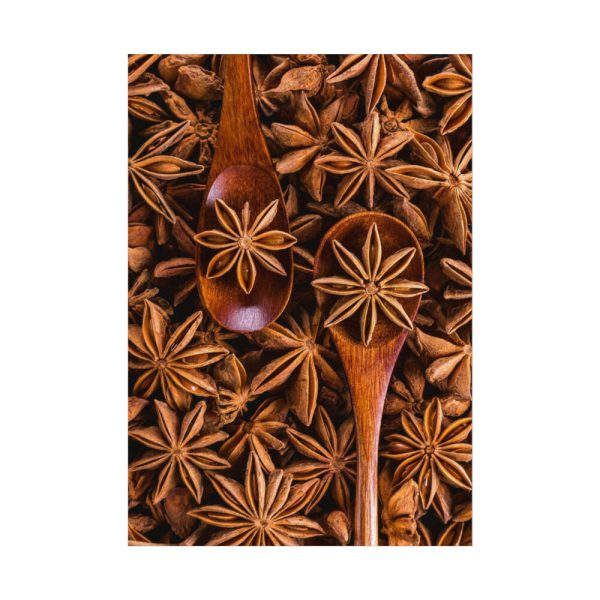 92410-155.jpg Anise Spices Seeds Poster