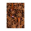 92410-156.jpg Anise Spices Seeds Poster