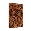 92410-157.jpg Anise Spices Seeds Poster