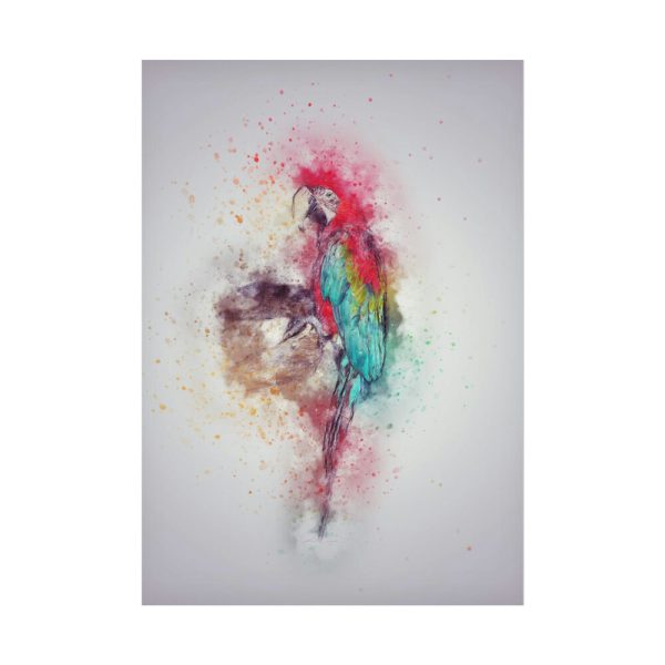 92410-295.jpg Parrot and Colors Poster