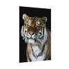 92410-72.jpg Cute Siberian Tiger Poster