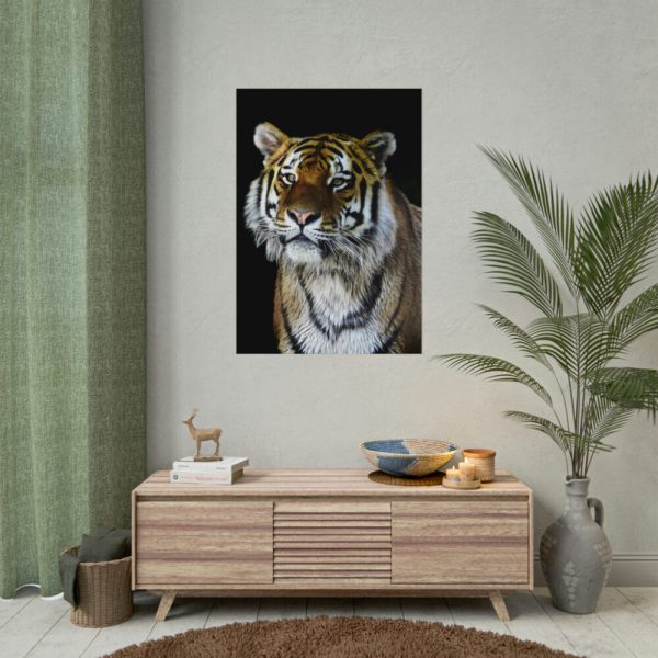 92410-73.jpg Cute Siberian Tiger Poster