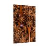 92411-157.jpg Anise Spices Seeds Poster