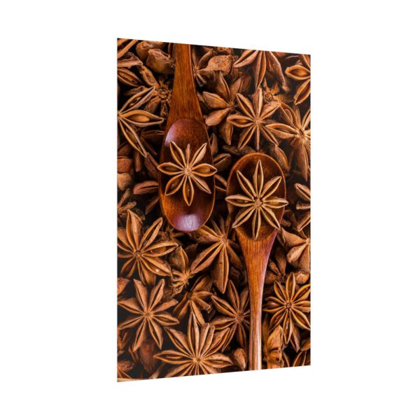 92411-157.jpg Anise Spices Seeds Poster